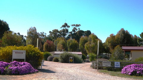 Gladstone Caravan Park - Sunshine Coast Tourism 6