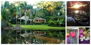 Kiwarrak Country Retreat - Sunshine Coast Tourism 1