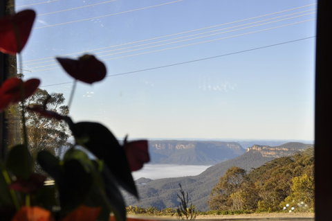 Jamison Guesthouse And The Rooster Restaurant - Sunshine Coast Tourism 1