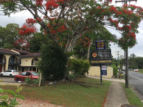 Murwillumbah Gallery Motel - Sunshine Coast Tourism 4