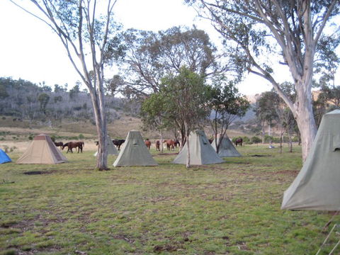 Reynella Kosciusko Rides Homestead - Sunshine Coast Tourism 3