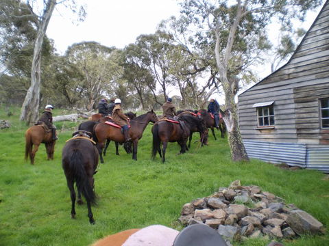 Reynella Kosciusko Rides Homestead - Sunshine Coast Tourism 10