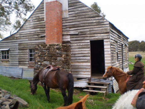 Reynella Kosciusko Rides Homestead - Sunshine Coast Tourism 5