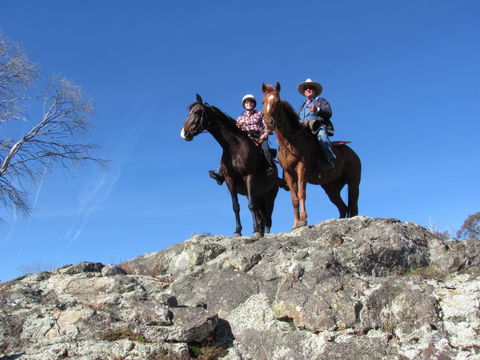 Reynella Kosciusko Rides Homestead - Sunshine Coast Tourism 7