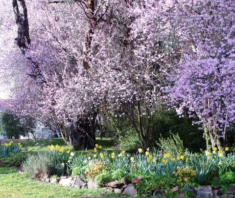 Reynella Kosciusko Rides Homestead - Sunshine Coast Tourism 13