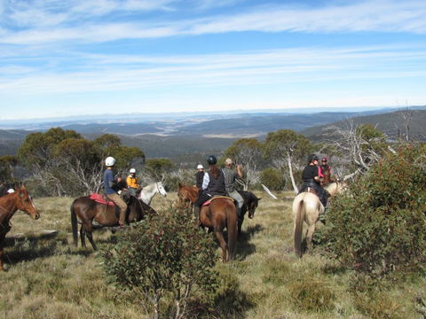 Reynella Kosciusko Rides Homestead - Sunshine Coast Tourism 6