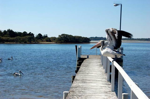 Moby Dick Waterfront Motel - Sunshine Coast Tourism 4