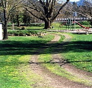 Mongans Bridge Camping Park - Sunshine Coast Tourism