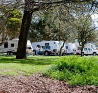 Moss Vale Village Caravan Park - Sunshine Coast Tourism