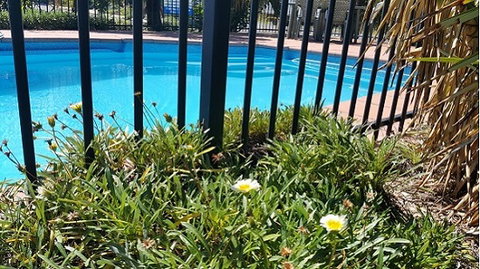 Motel Carnarvon - Holiday Sunshine Coast 6