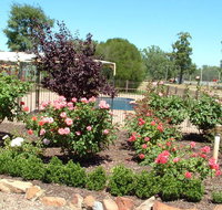 Newell Motor Inn - Sunshine Coast Tourism