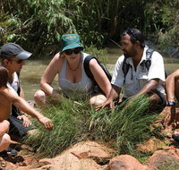 Nitmiluk Tours  Accommodation - Sunshine Coast Tourism