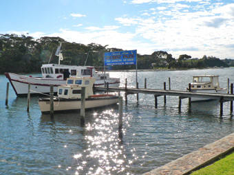 North Arm Tourist Park - Sunshine Coast Tourism 0