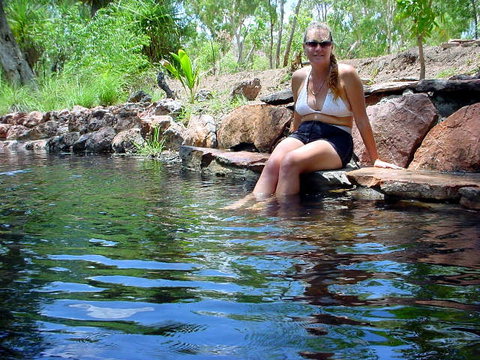 Paradise Beach Apartments - Sunshine Coast Tourism 0