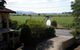 Murwillumbah Gallery Motel - thumb 0