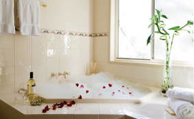 Arundel Bc QLD Sunshine Coast Tourism