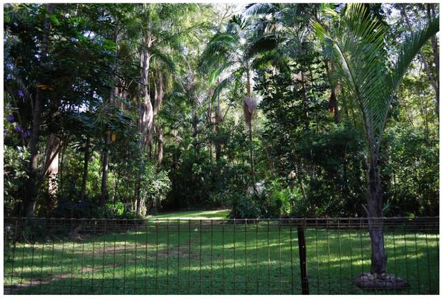 Advancetown QLD Holiday Sunshine Coast