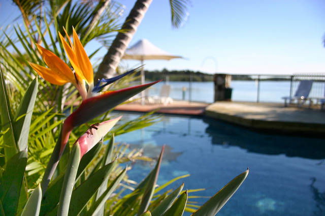 Lighthouse Beach NSW Sunshine Coast Tourism