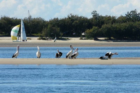 Sandcastles On The Broadwater - Sunshine Coast Tourism 4