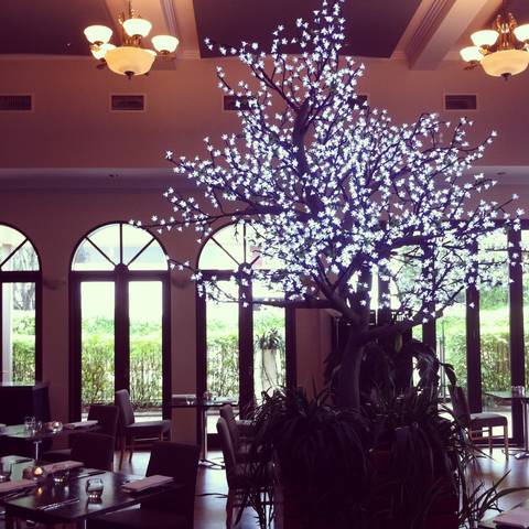 Shangri-La Gardens - Sunshine Coast Tourism 1