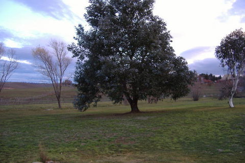 Snowy Mountains Motel - Sunshine Coast Tourism 1