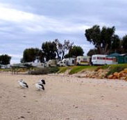 Stansbury Foreshore Caravan Park - Holiday Sunshine Coast