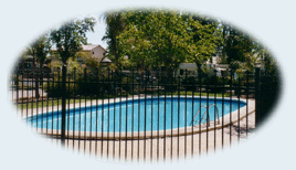 Sun City Caravan Park - Holiday Sunshine Coast