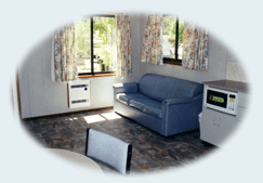 Sun City Caravan Park - Sunshine Coast Tourism 1