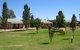 Narrandera Caravan Park - thumb 9