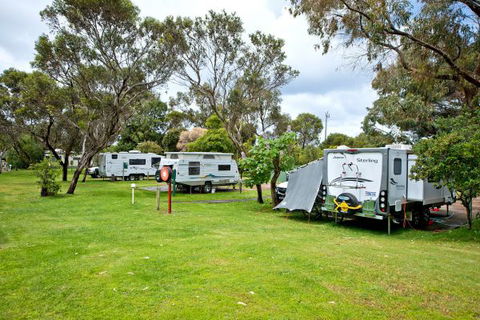 Acclaim Pine Grove Holiday Park - Sunshine Coast Tourism 11