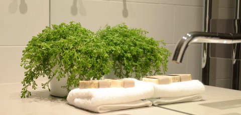 Bannisters Pavilion - Sunshine Coast Tourism 14