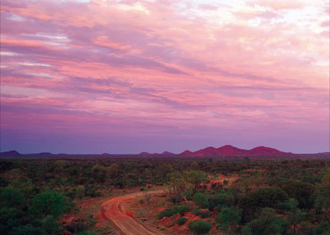 Bond Springs Outback Retreat - Sunshine Coast Tourism 3