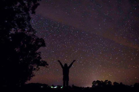 Childers Eco-lodge - Sunshine Coast Tourism 5