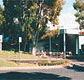 Tamwell Motel - Sunshine Coast Tourism