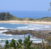 The Bowlo Holiday Cabins - Sunshine Coast Tourism