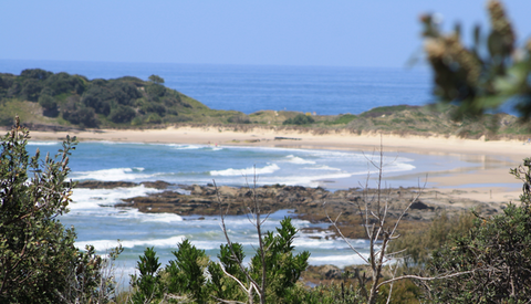 The Bowlo Holiday Cabins - Holiday Sunshine Coast 0