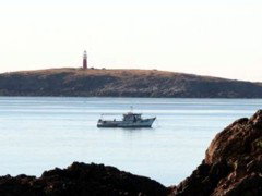 The Cove Holiday Village - Sunshine Coast Tourism 4