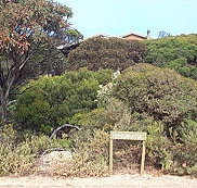 The Honeymyrtle Cottage - Sunshine Coast Tourism