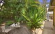 Tiarri Terrigal Apartments - thumb 2