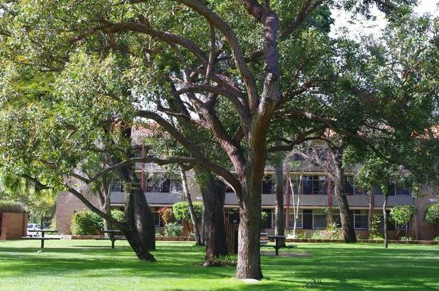 Nedlands WA Sunshine Coast Tourism