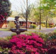 View Hill Holiday Units - Sunshine Coast Tourism