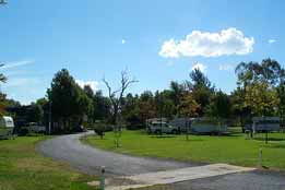 Wairo Beach Holiday Park - Holiday Sunshine Coast 0