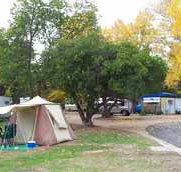 Wedderburn Pioneer Caravan Park - Sunshine Coast Tourism