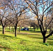 Wellington Caves Caravan Park - Sunshine Coast Tourism