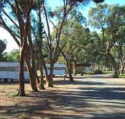 Wycheproof Caravan Park - Sunshine Coast Tourism