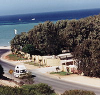 Denham Seaside Tourist Village - Sunshine Coast Tourism