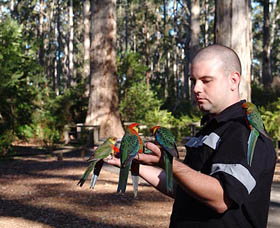 Gloucester Motel - Sunshine Coast Tourism 3