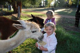 Treenbrook Cottages - Sunshine Coast Tourism 3