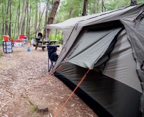 WA Wilderness Catered Camping At Big Brook Arboretum - Holiday Sunshine Coast 0