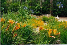 Warren River Resort - Holiday Sunshine Coast 3